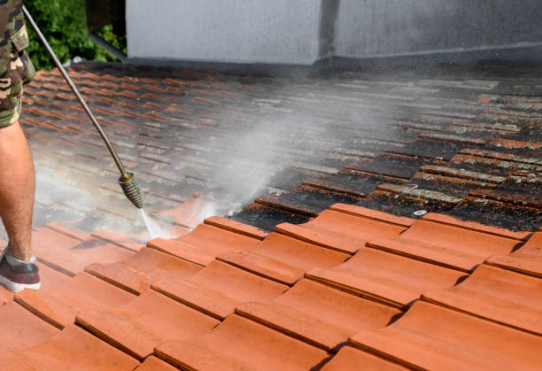Best Residential Pressure Washing Services  in Le Claire, IA